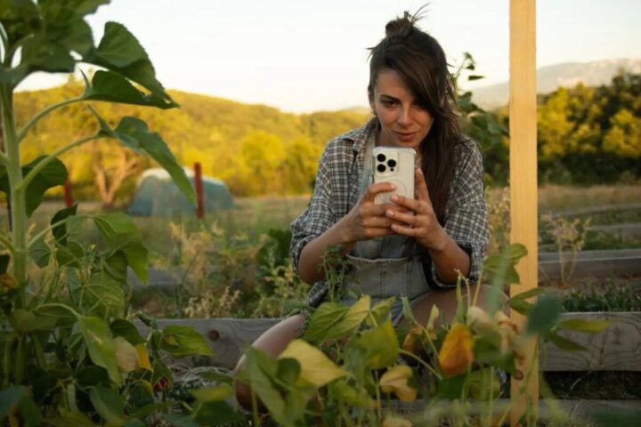 Лучшие приложения для садоводов и огородников: 7 незаменимых помощников