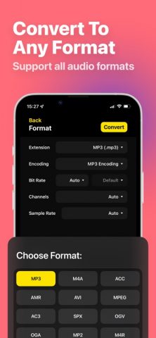 Audio Converter — MP4 to MP3 для iOS — скриншот 4