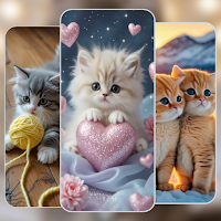 Cute Cat Wallpaper – Black Cat для Android