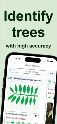 Forest Tree Identification для iOS — скриншот 1