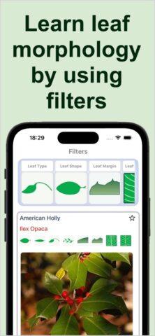 Forest Tree Identification для iOS — скриншот 3