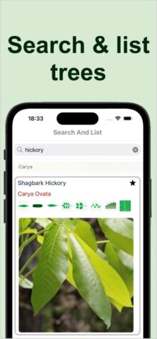 Forest Tree Identification для iOS — скриншот 4