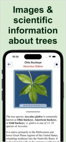 Forest Tree Identification для iOS — скриншот 5