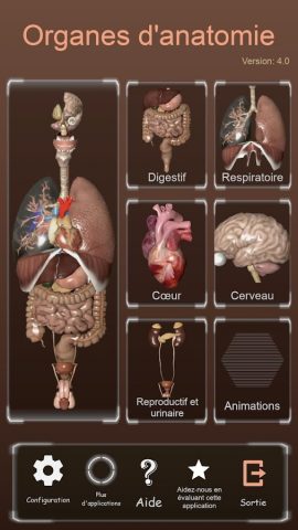 Internal Organs in 3D Anatomy — скриншот 1