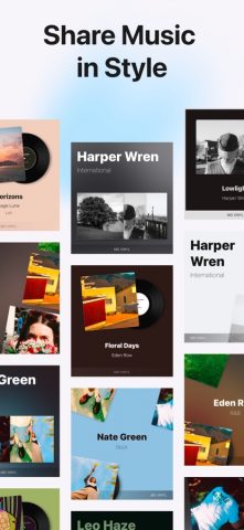 MD Vinyl — плеер для музыки для iOS — скриншот 4