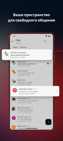 MEGA — скриншот 4