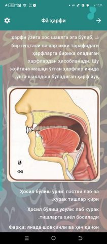 Moallem Sani — скриншот 4