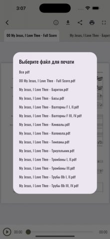 Ноты МХО для iOS — скриншот 3