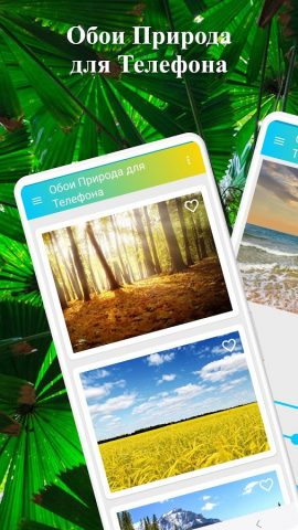 Обои Природа для Телефона — скриншот 1
