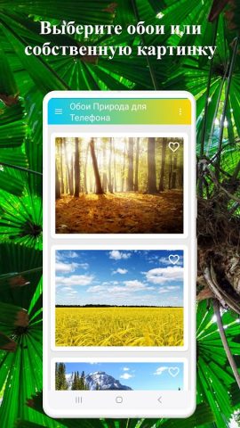 Обои Природа для Телефона — скриншот 3