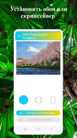Обои Природа для Телефона — скриншот 5