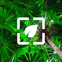 Иконка Обои Природа для Телефона