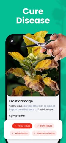 PlantIn: Определитель растений для iOS — скриншот 2