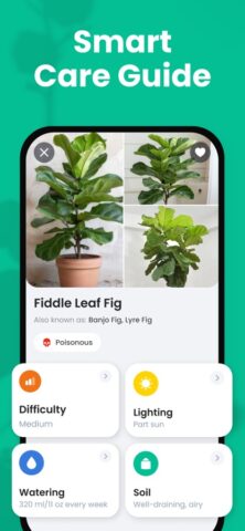 PlantIn: Определитель растений для iOS — скриншот 4