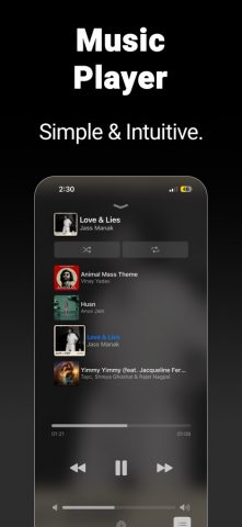 Video Player — All-in-One для iOS — скриншот 4