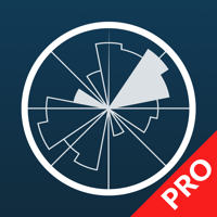 Иконка WINDY PRO Погода, ветер, волны