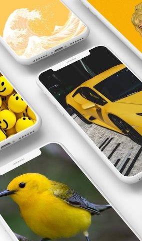 Желтые Обои для Android — скриншот 1