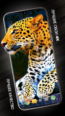 Животные обои для телефона для Android — скриншот 1
