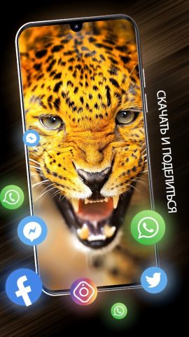 Животные обои для телефона для Android — скриншот 3
