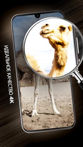 Животные обои для телефона для Android — скриншот 4