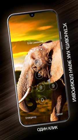 Животные обои для телефона для Android — скриншот 5