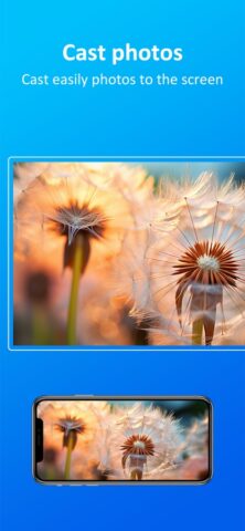 tranScreen для iOS — скриншот 2