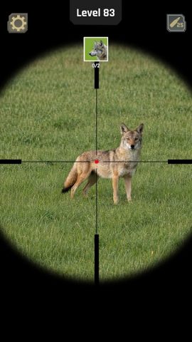 Animal Hunter: Симулятор Oхоты — скриншот 1