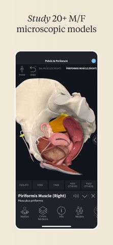 Complete Anatomy — Learn in 3D — скриншот 4
