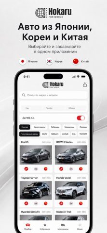 Hokaru — купить авто под заказ — скриншот 4