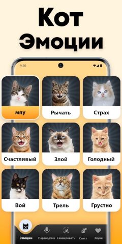 Кошачий переводчик — кошка — скриншот 3