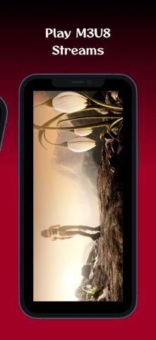 M3U8 Stream Player: TV & Video — скриншот 2