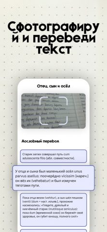 Переводчик Латыни Master — скриншот 2