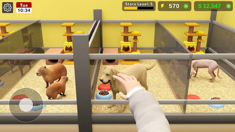 Pet Shop Manager Simulation — скриншот 4