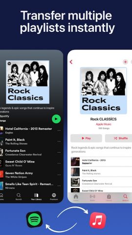 Playlist Transfer for My Music — скриншот 4