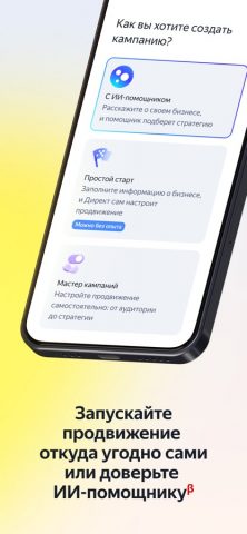 Яндекс Директ для бизнеса — скриншот 2