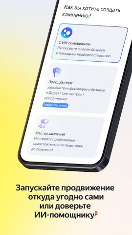 Яндекс Директ для бизнеса — скриншот 2