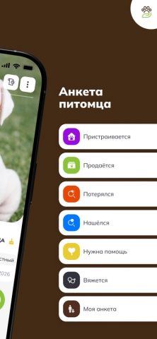 ЗооКлик: счастливый питомец — скриншот 3