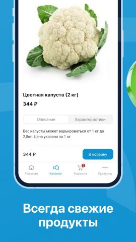 Доставка продуктов ДНР — скриншот 3