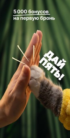 СУТОЧНО.РУ: отели, квартиры — скриншот 1