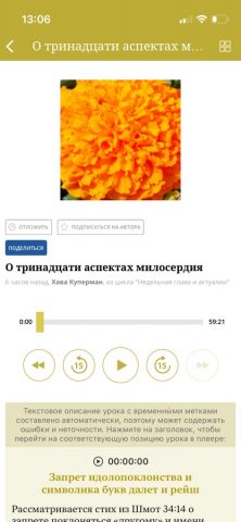 Толдот — скриншот 5