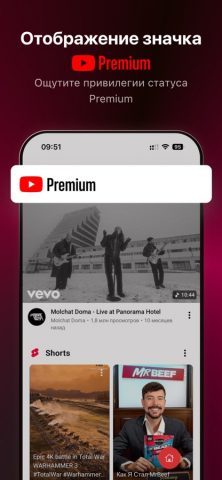 Tube PiP — скриншот 1