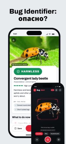 Bug Identifier: BugAlert — скриншот 1
