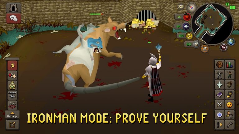 Old School RuneScape — скриншот 5